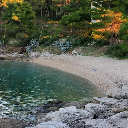 Apartman Vis 8531b *